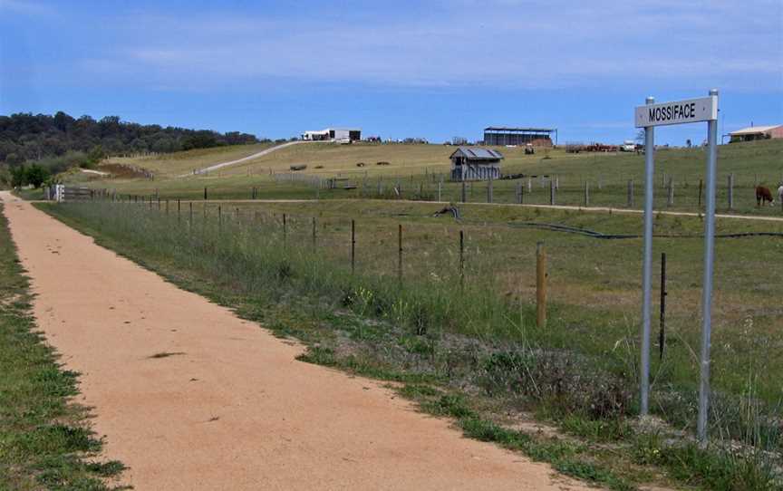 EG Rail Trail looking south at Mossiface, 18.10.2008.jpg