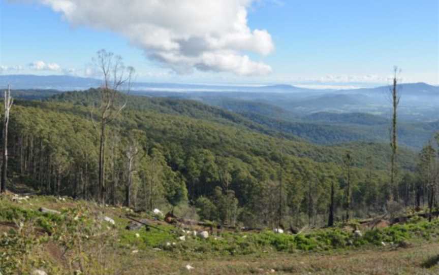 20130709 Mount Beenaksummitpanorama