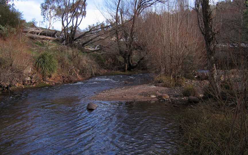 Cobungra River at Anglers Rest, Vic, jjron, 6.06.2009.jpg