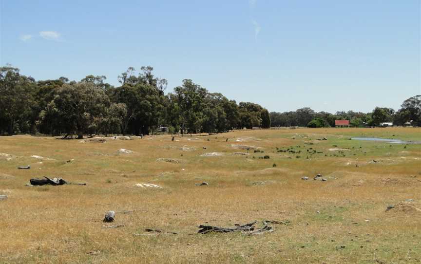 Golddiggings Barkly