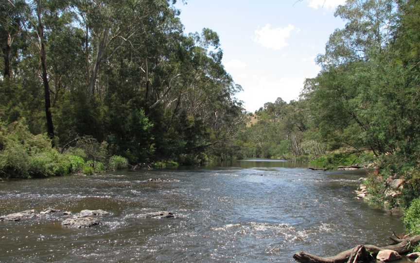 Yarra River Wonga Park.jpg