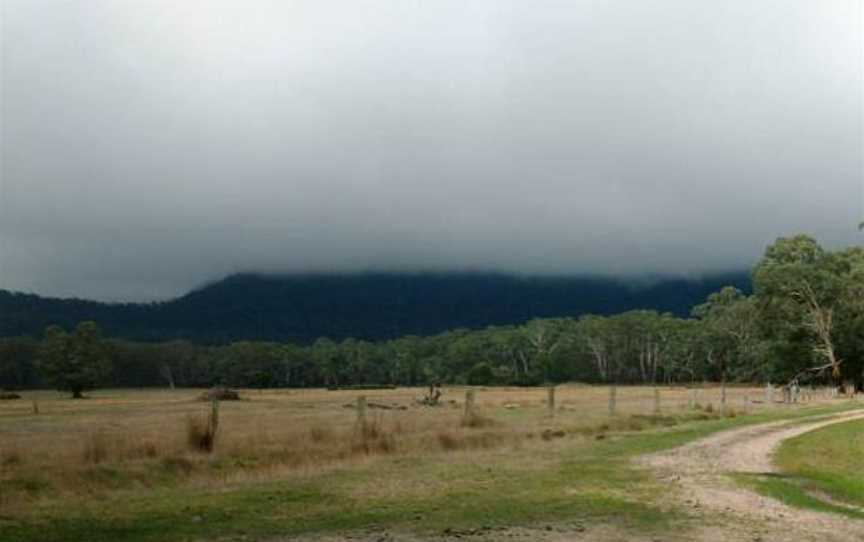 Mount Cole State Forestpanorama