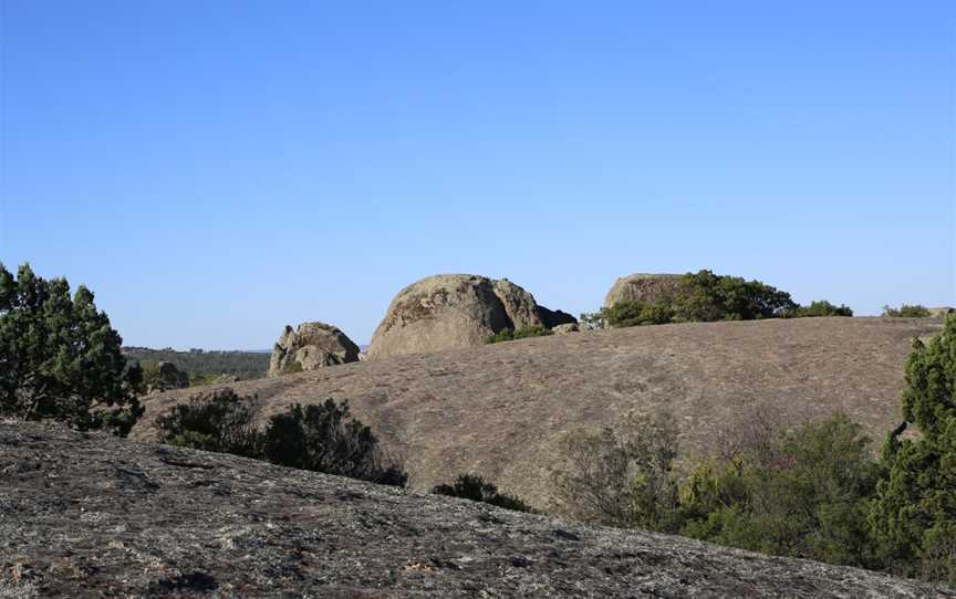 Terrick Terrick National Park (31717810683).jpg