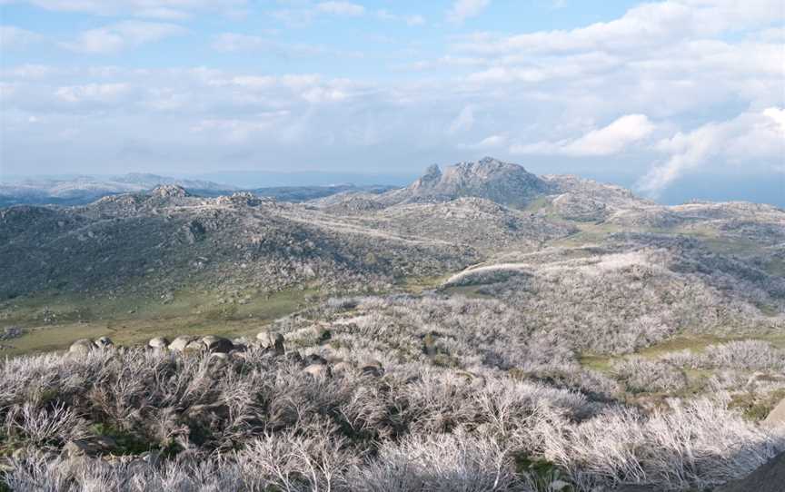 Mt buffalo plateau.jpg