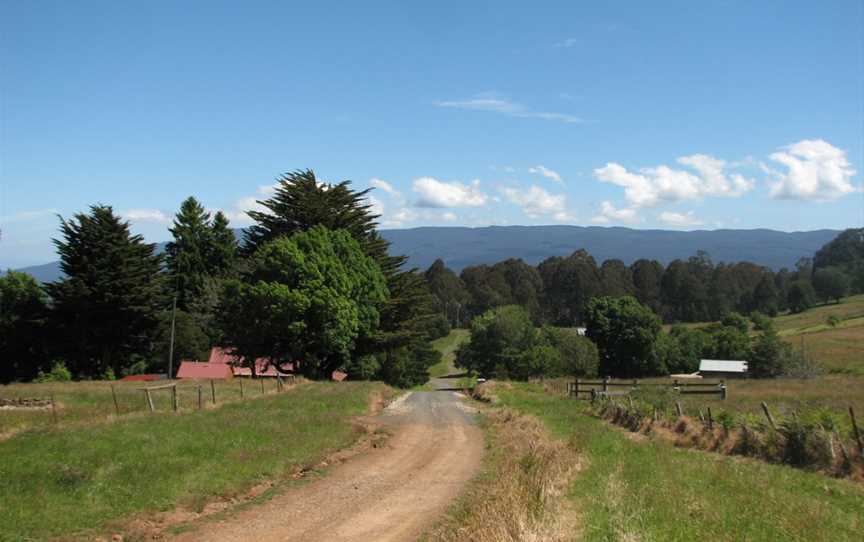 Aberfeldy Walhalla Road.jpg