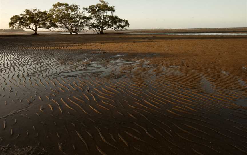 Boondall Wetlands (6968543386).jpg