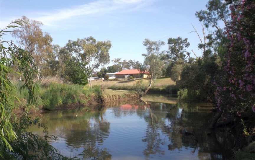 Oakey Creekat Oakey