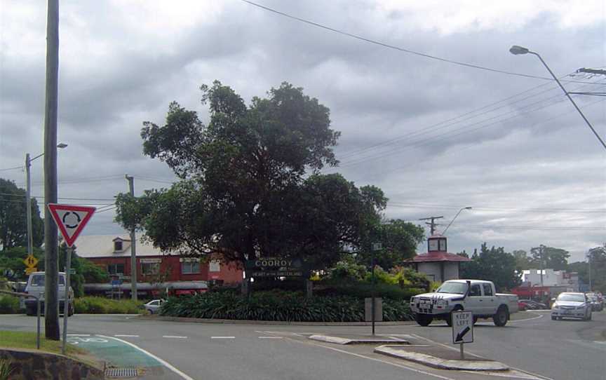 Cooroy2.jpg