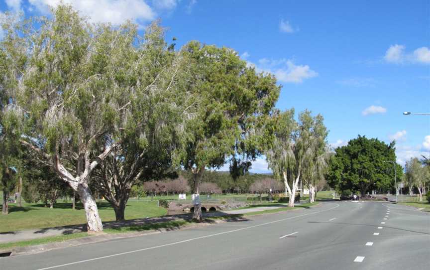 Windaroo road alongside mem park.jpg