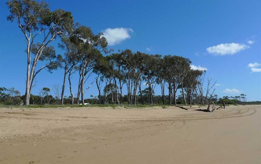 Moore Park Beach.jpg