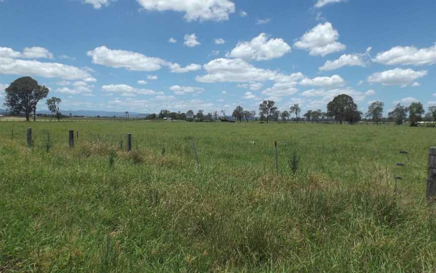 Fields along Alan Creek Road at Gleneagle, Queensland 2.jpg