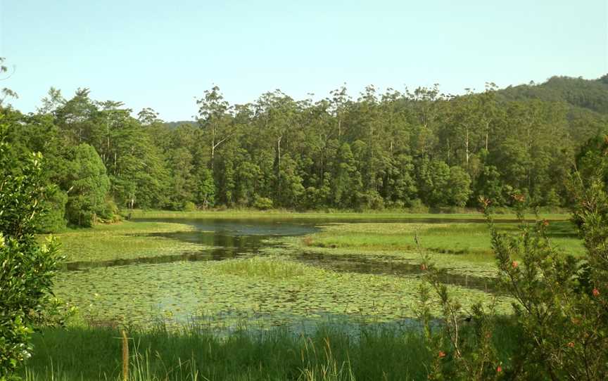 Tallebudgera Creek Dam, Tallebudgera Valley, Queensland.jpg