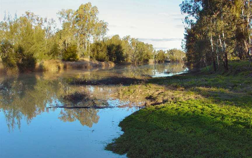 Mitchell Maranoa River DSC03260.JPG