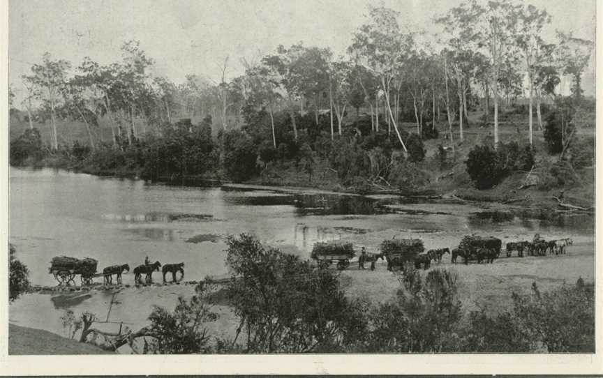 Bucca Crossing, Burnett River, Cane carts bound for Invicta Mill, 1919.jpg