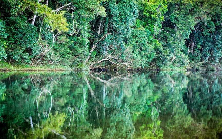 Mulgrave River at Goldsborough Valley - panoramio.jpg