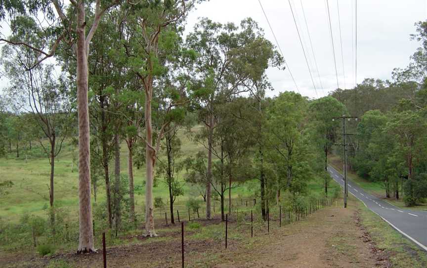 Pinjarra Hills, Queensland.JPG