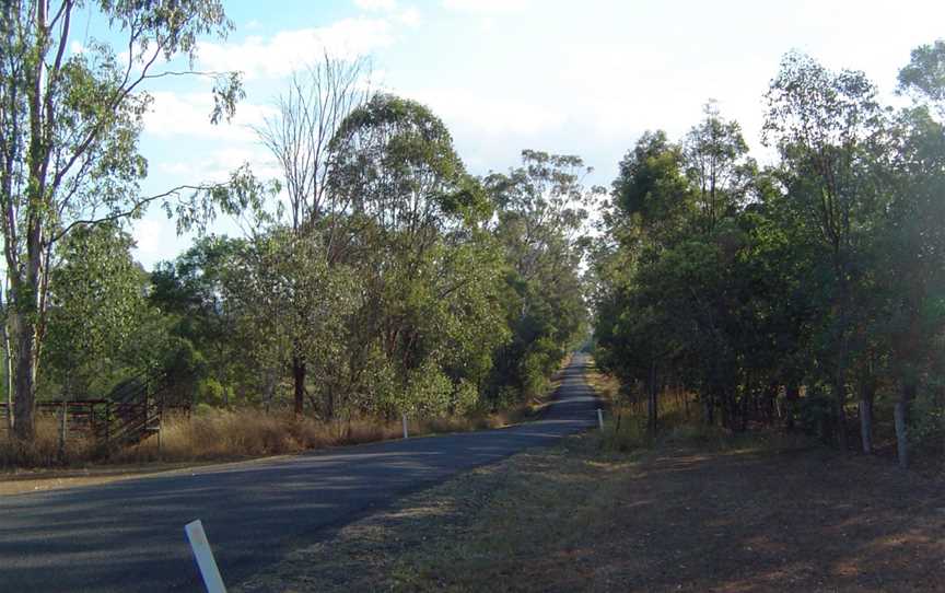 Beethams Road Ironbark.jpg