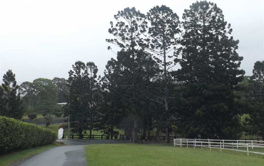 Avenueof Commemorative Trees CAdvancetown CQueensland