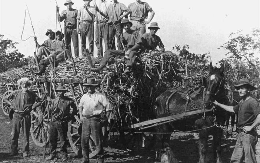 Group of teamsters at Walligan siding, 1924 season.jpg