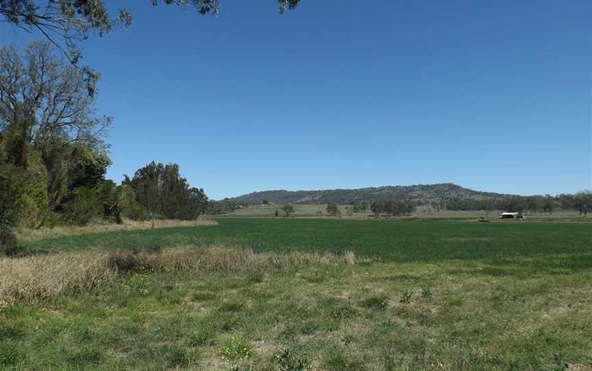 Paddocks at Kerry by Albert River.jpg