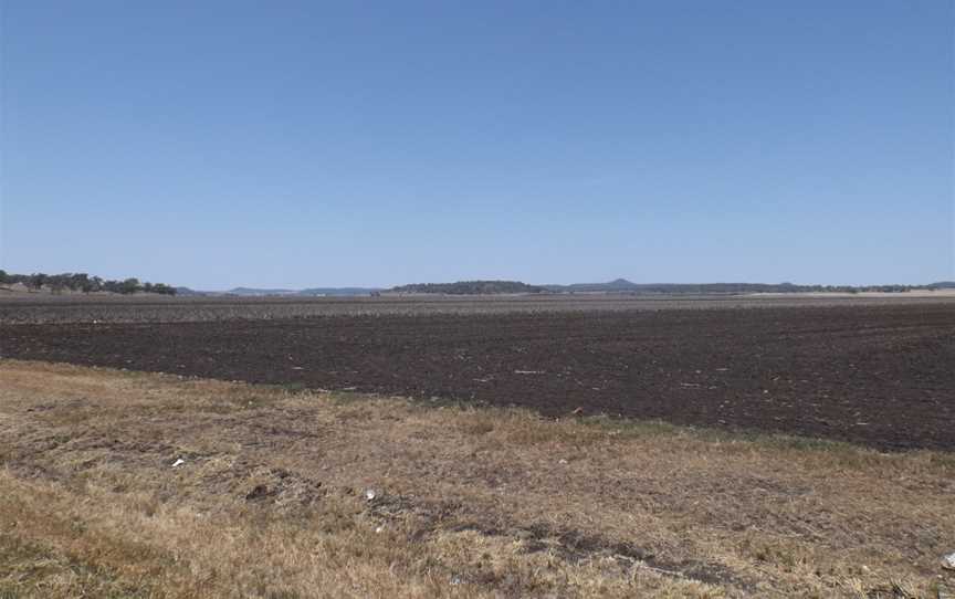 Fields at Mount Tyson.jpg