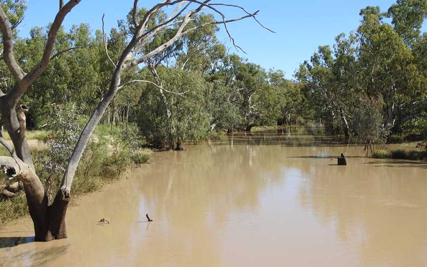 A UQld Thallon Moonie Riverinflooddownstream2021