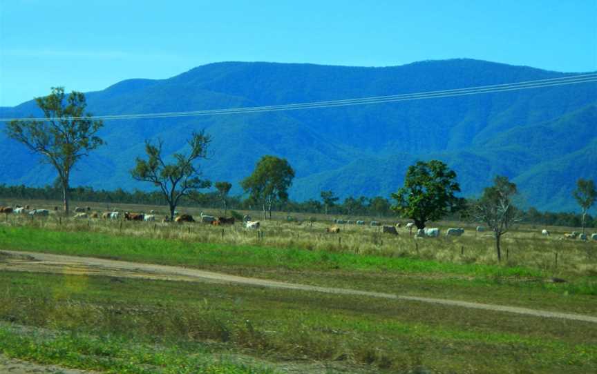 Scenery West of Townsville - panoramio (2).jpg