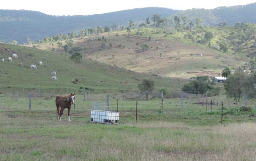 Rural landscape, Mount Chalmers, 2016.jpg