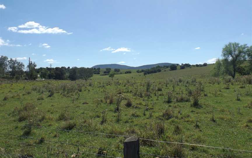 Fields at Hoya, Queensland.jpg