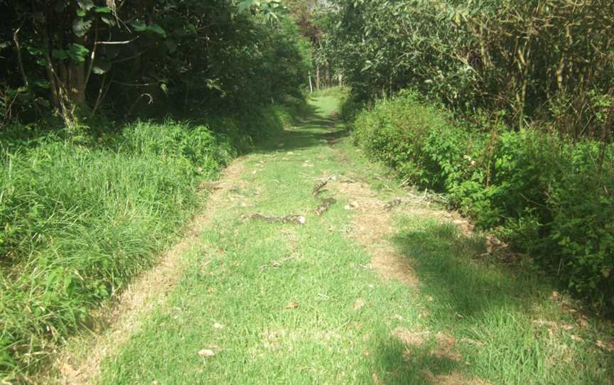 Gold Coast Hinterland Great Walk2 Stevage