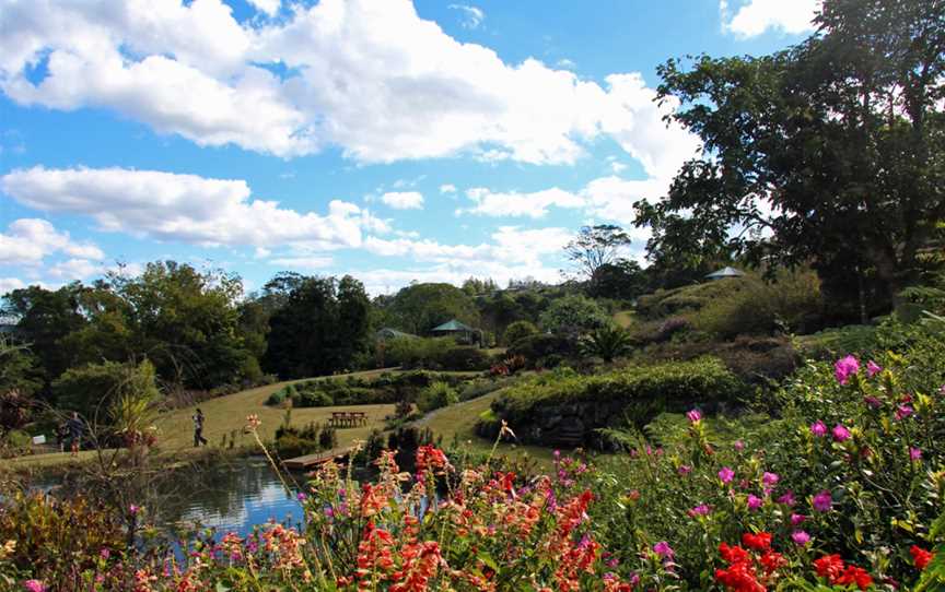 Maleny Botanic Gardens