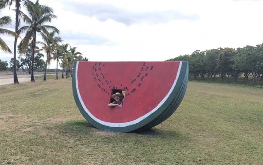 Thebigwatermelon