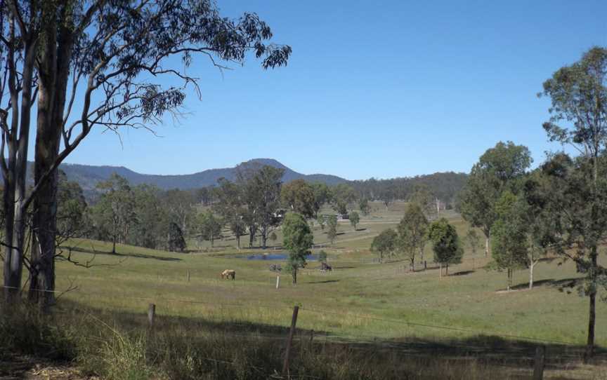 Paddocks at Biddaddaba.jpg