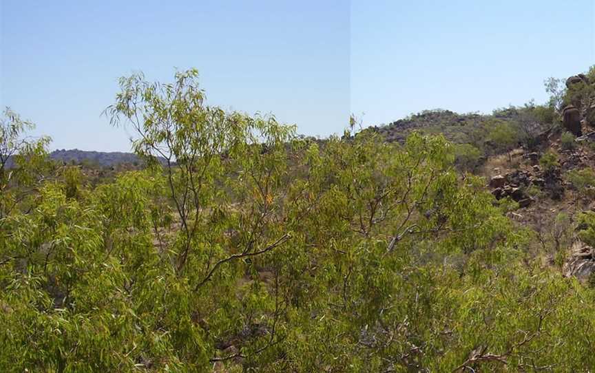 Elizabeth Creek Valleypanorama