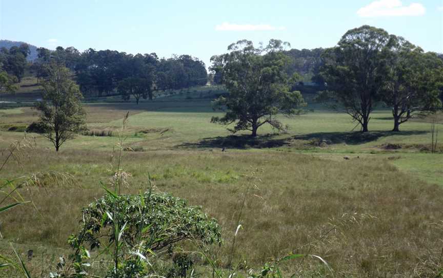 Paddocks along Beaudesert Boonah Road at Bromelton, Queensland.jpg