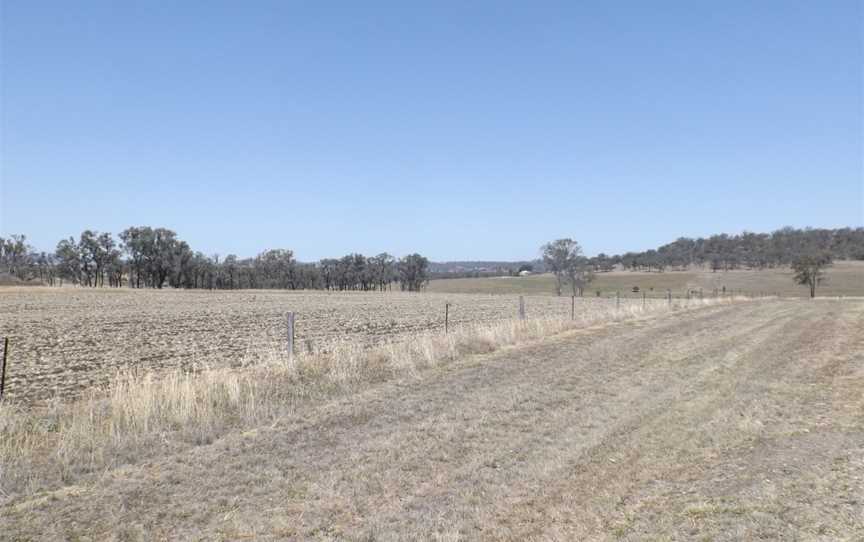 Fields at Broxburn.jpg