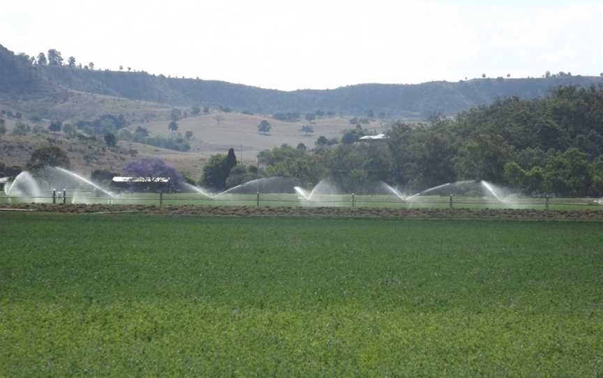 Irrigation at Winwill.jpg