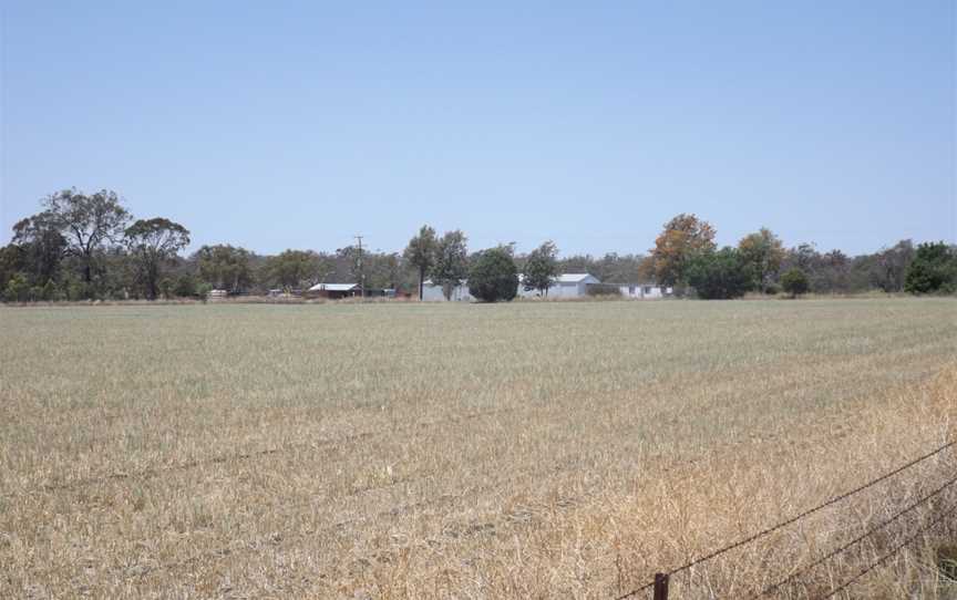 Fields at Athol.jpg