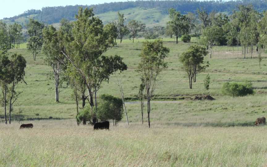 Rural landscape, Burnett Highway, Mundowran, 2014 02.jpg