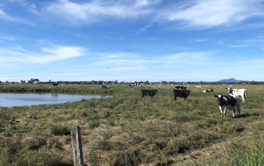 Paddocks along Kengoon Road Silverdale.jpg