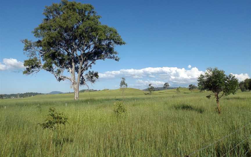 Fields along Markwell Creek Road at Cryna, Queensland 2.jpg