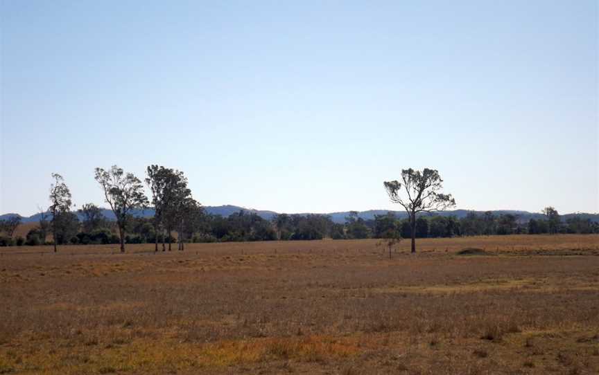 Paddocks Sheep Station Creek Queensland.jpg