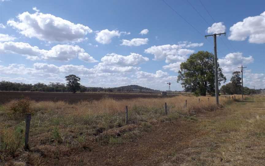 Fields at Boodua.jpg