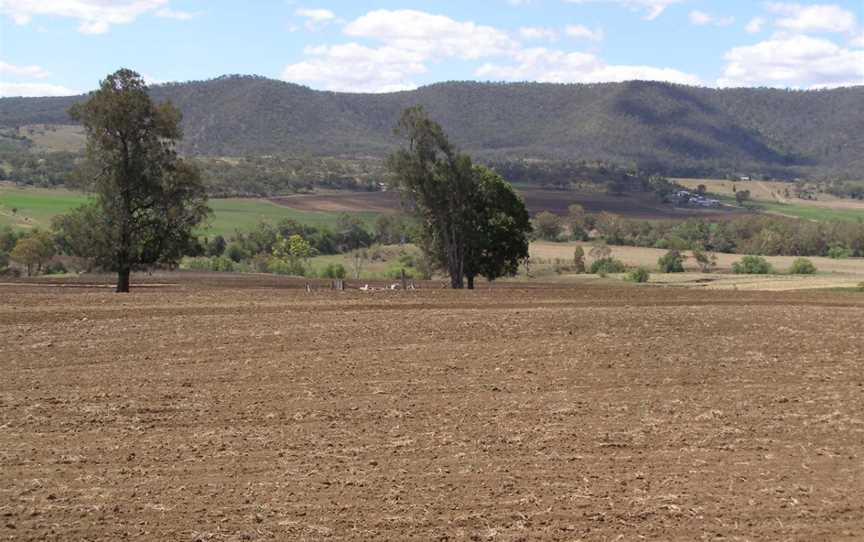 Upper Freestone landscape (looking north from McMaster Road), 2007.jpg