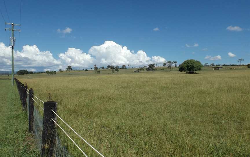 Paddocks at Innisplain, Queensland.jpg