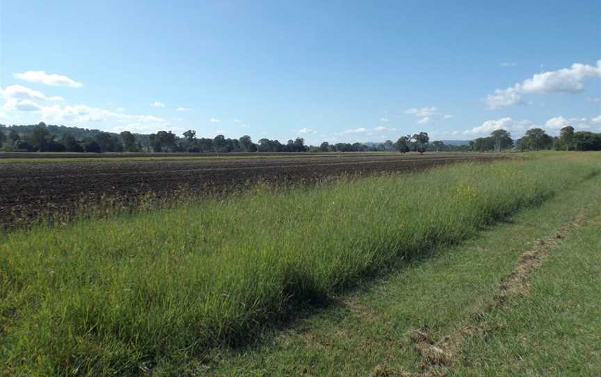 Fieldsat Innisplain CQueensland