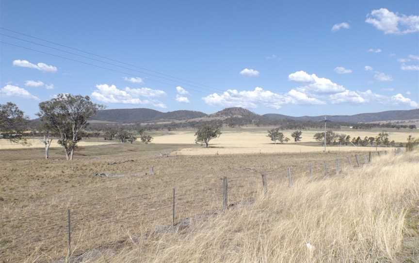 Fields at Hirstglen.jpg