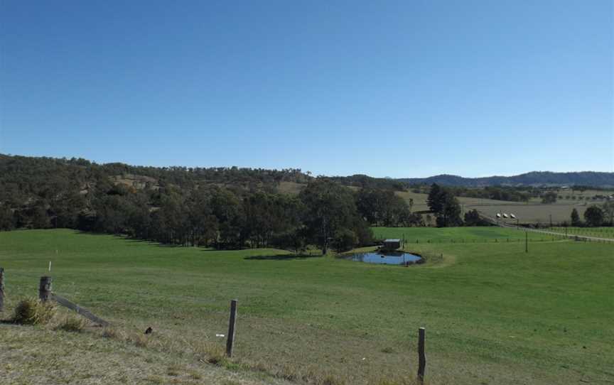 Paddocks at Hillview.jpg