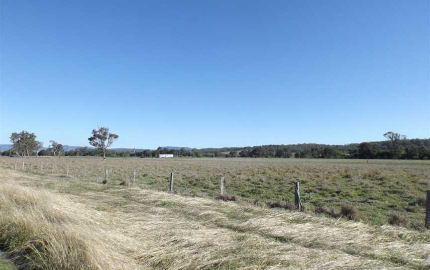 Paddocks at Tabooba 2.jpg