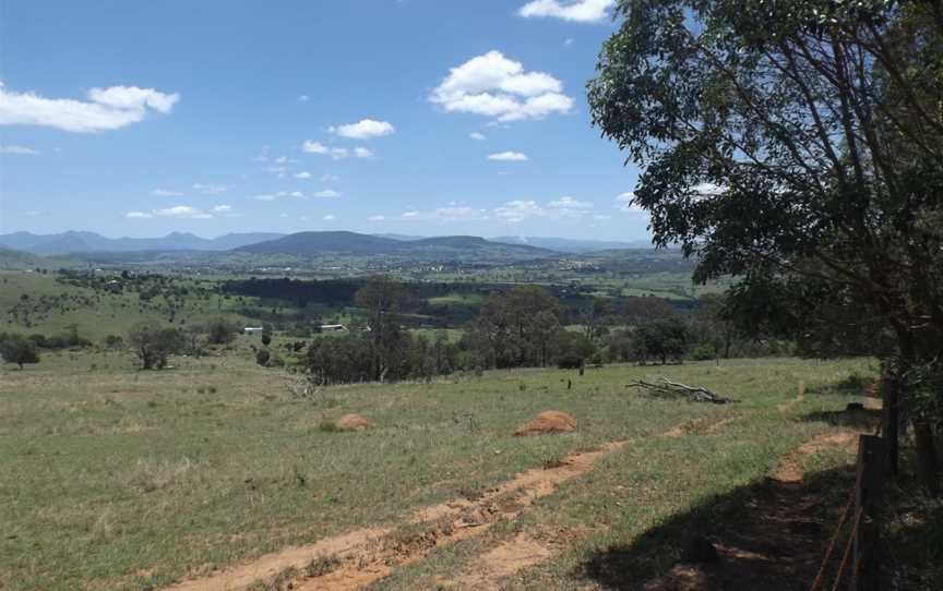 Paddocks at Allandale, Queensland.jpg